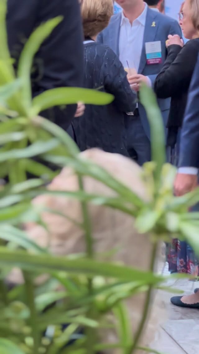 Instagram post from wave_entertainment_global. This post is in position 7.